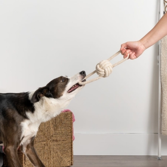 Pull & Play Rope Toy For Dogs - Picture 4 of 6